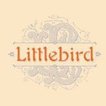 Little Bird