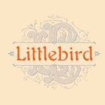 Little Bird